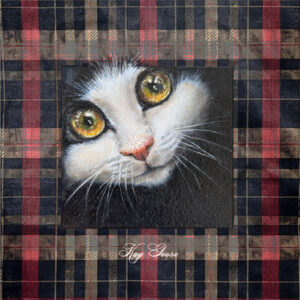 Art Prints: Tuxedo Cat