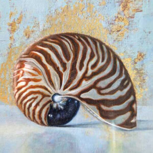 Original Oil Painting: nautilus